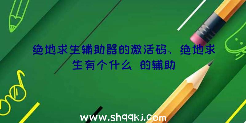 绝地求生辅助器的激活码、绝地求生有个什么